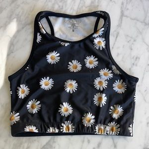 Goldsheep Daisy sports crop